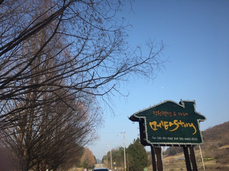 메타381 이미지