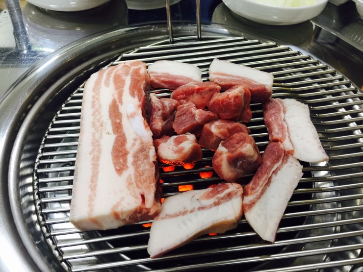 돈돼지 이미지