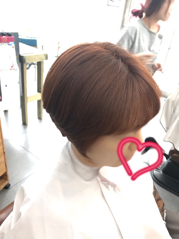 오렌지살롱 이미지