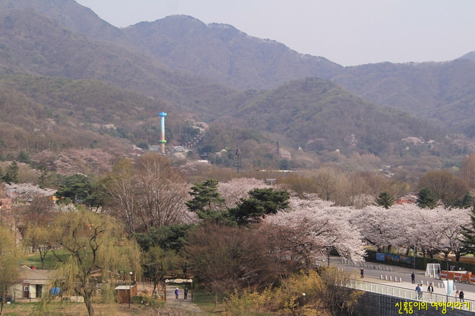 (주)사람과풍경 이미지