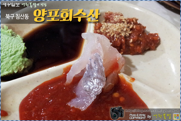 최강회수산 이미지