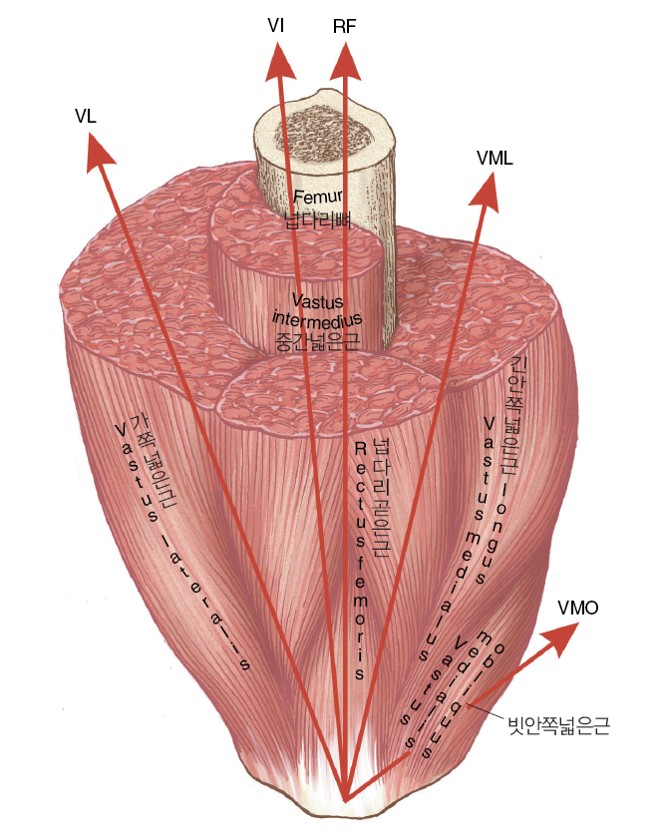 마르페인 이미지