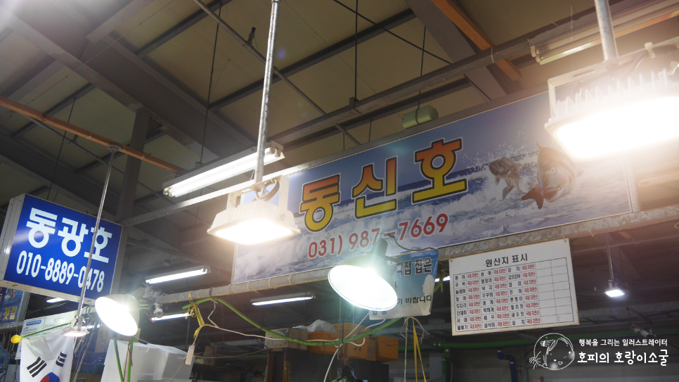 동신호 이미지