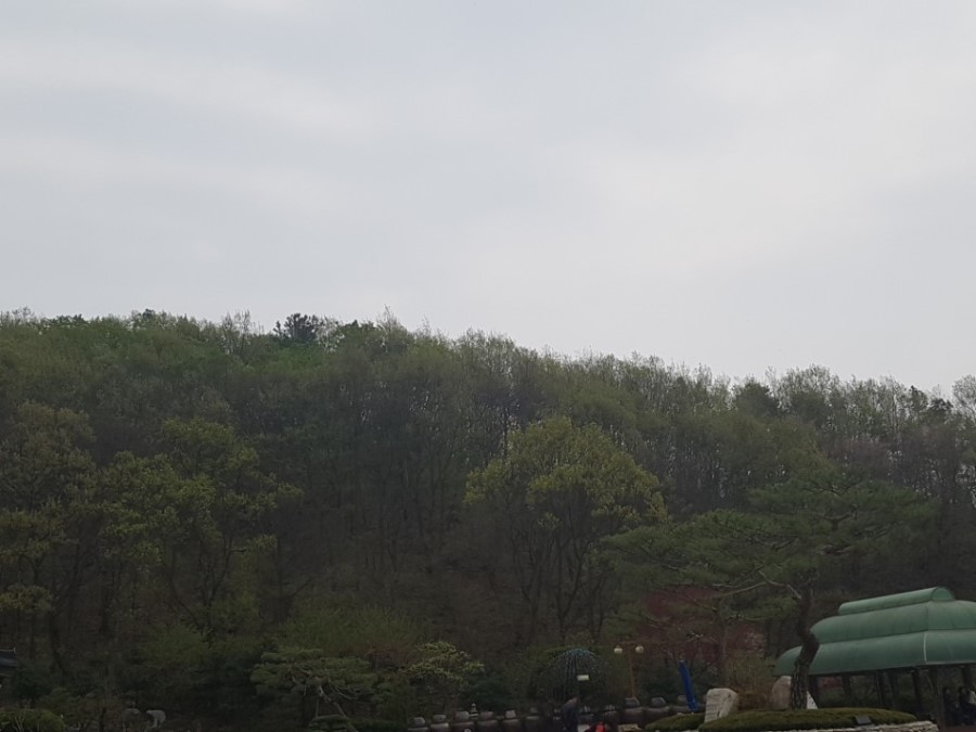 시고컴퍼니 이미지