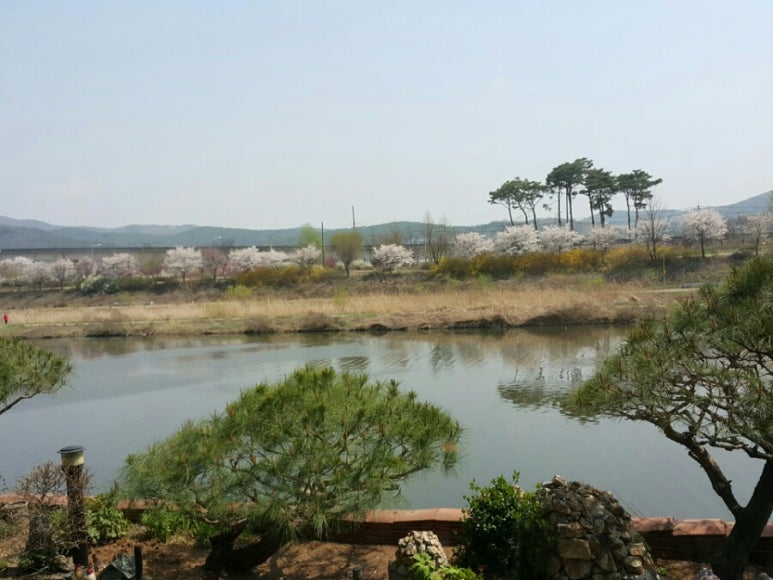 온밥 이미지