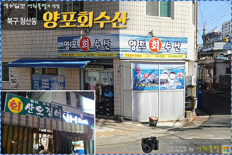 최강수산 이미지