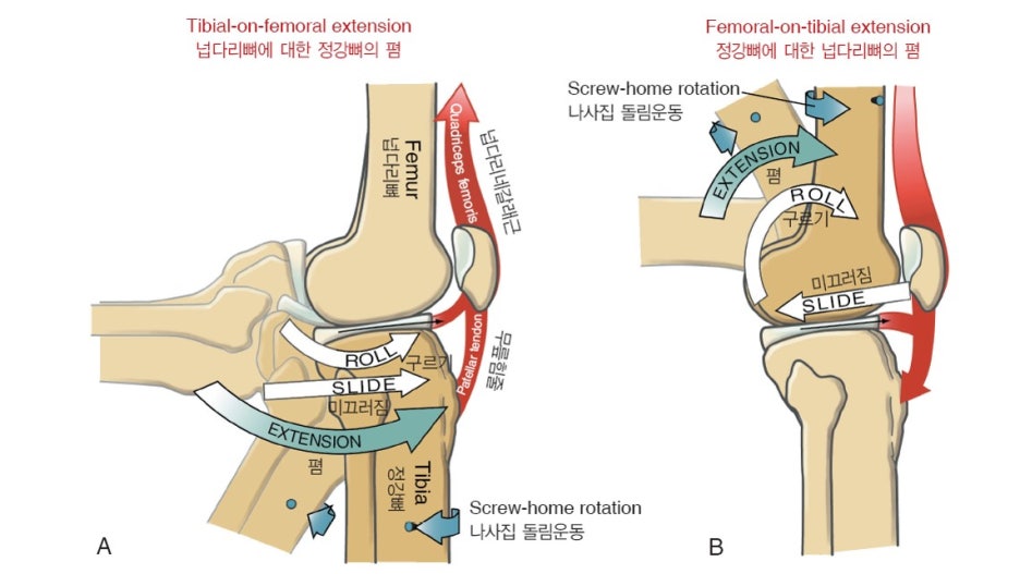 마르페인 이미지
