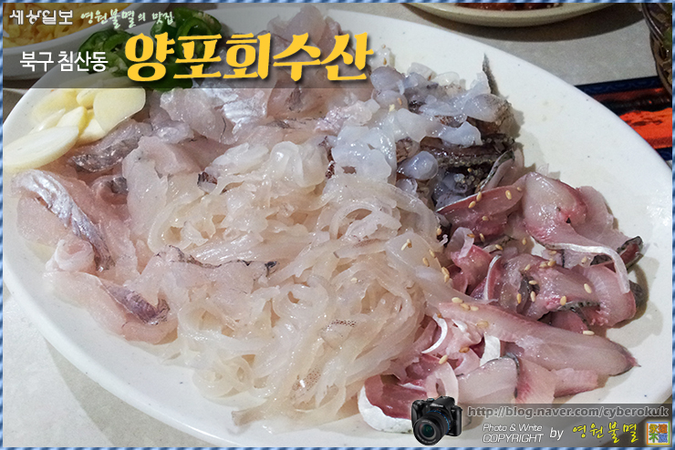 최강수산 이미지
