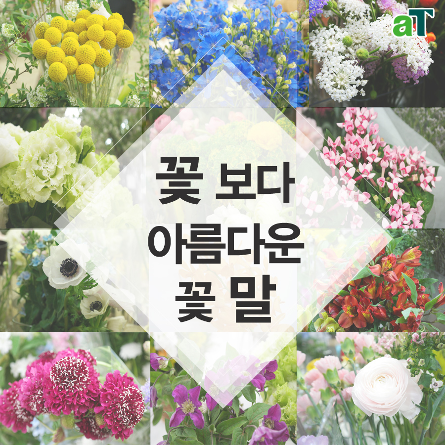 꽃보다농수산 이미지