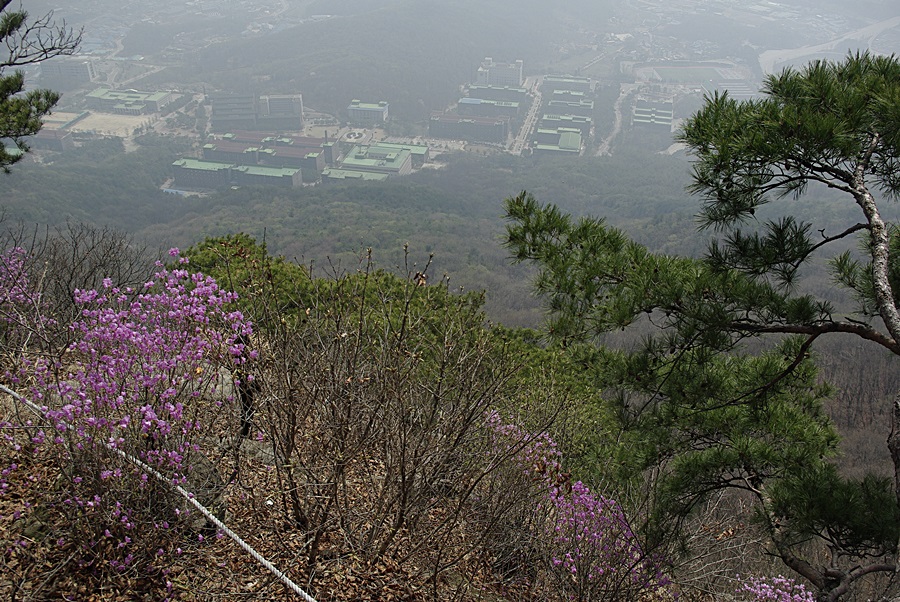 천보산주유소 이미지