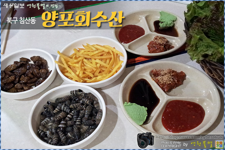 최강수산 이미지