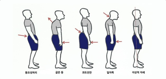 더메이트 이미지