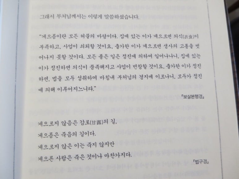 대광사 이미지