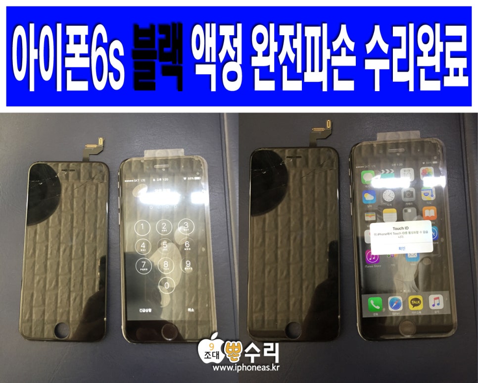 뽄수리 이미지