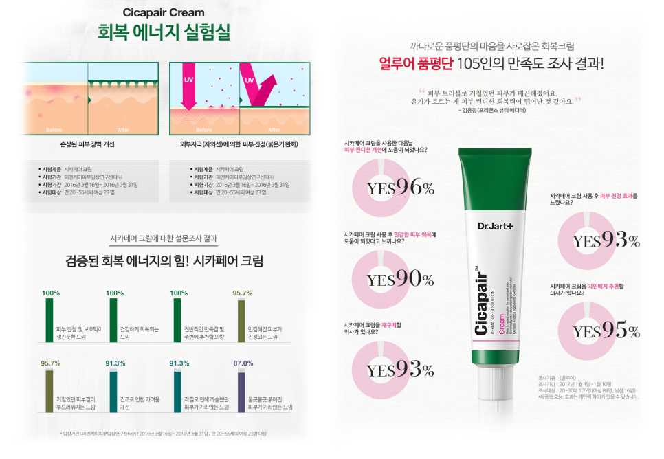 디엔피씨 이미지
