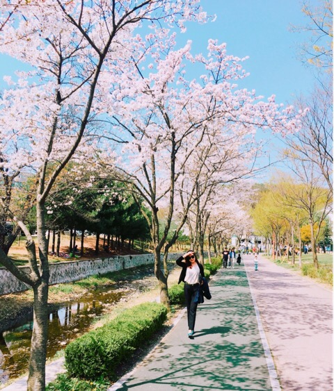 밥앤조이 이미지