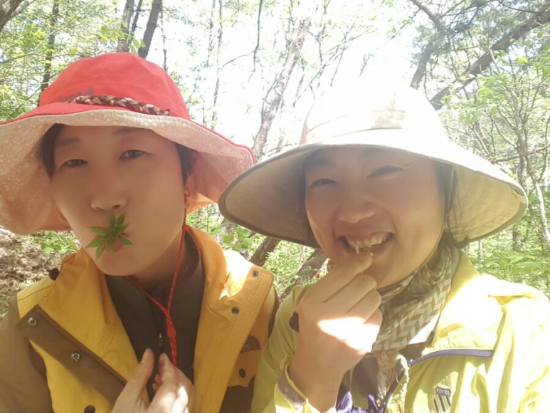 산삼하우스 이미지