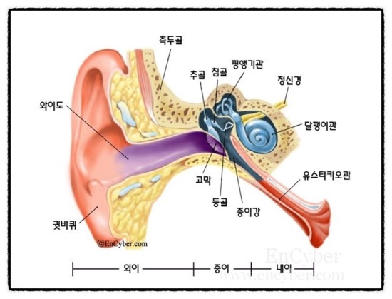 메디컬 보청기 이미지