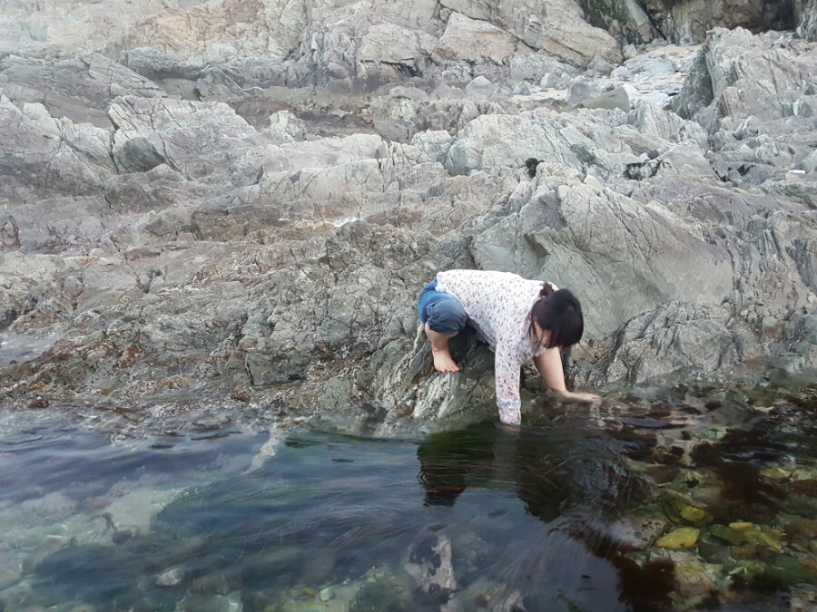착한영덕수산 이미지
