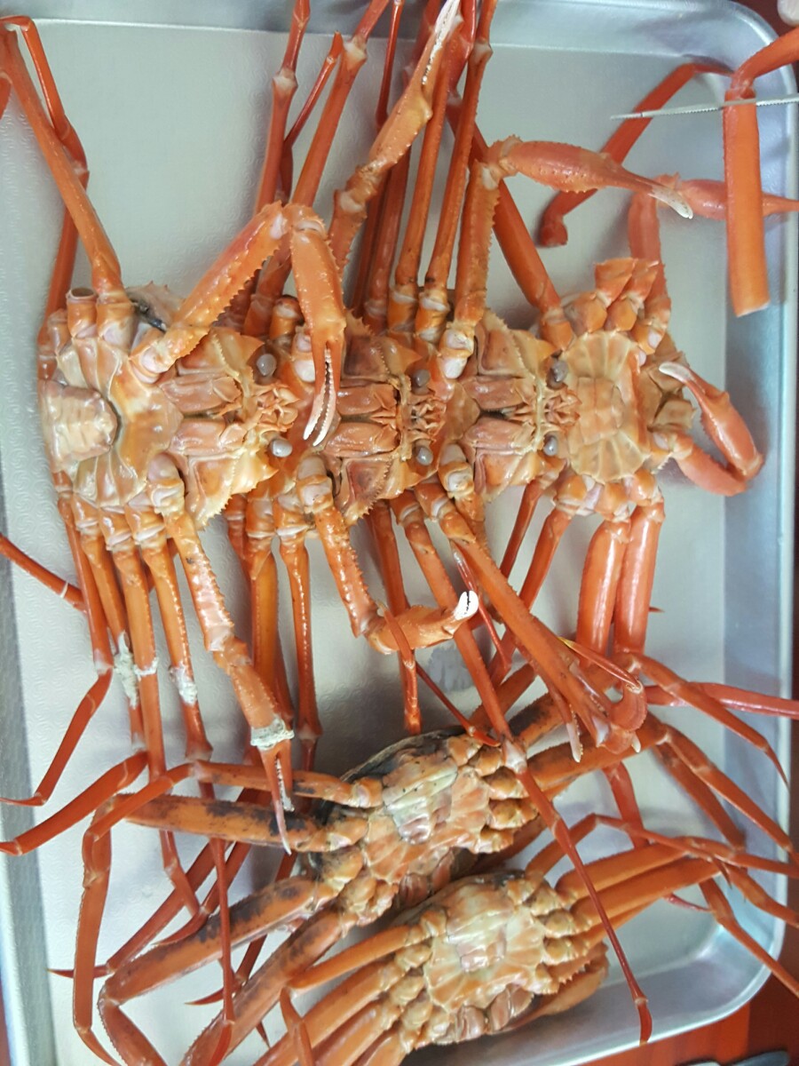 착한영덕수산 이미지