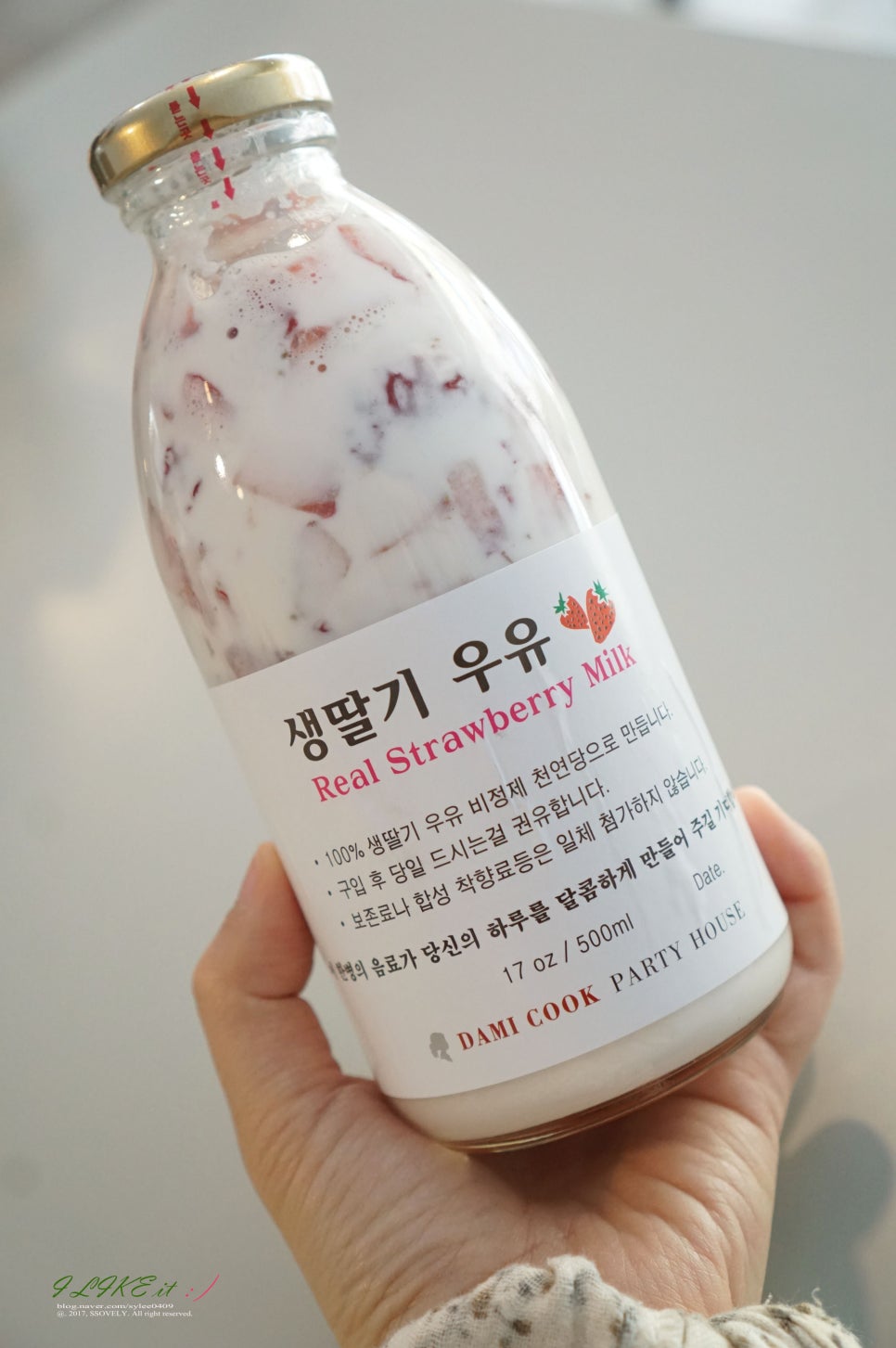 다미쿡 이미지
