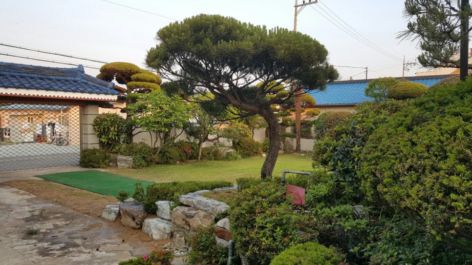 민조경 이미지