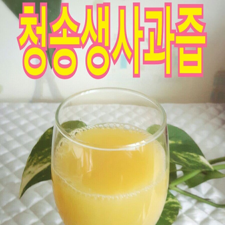 청송꿀사과 오두메농장 이미지