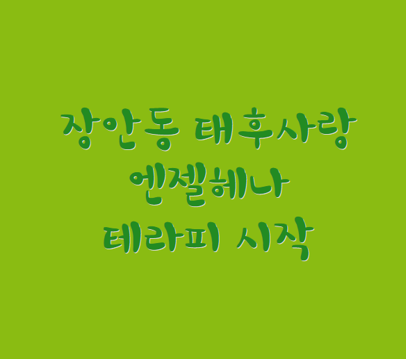 라디코엔젤헤나샵 이미지