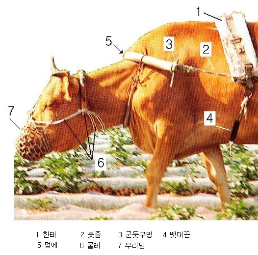 쟁기고기; 쟁기 각 부분의 명칭/이름; 옛날 농기구, 재래 농기구 : 네이버 블로그