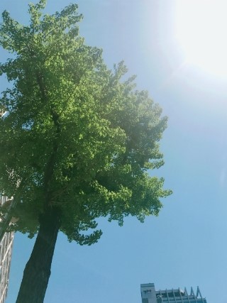호반다방 이미지
