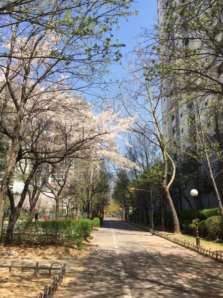 시온클린 이미지