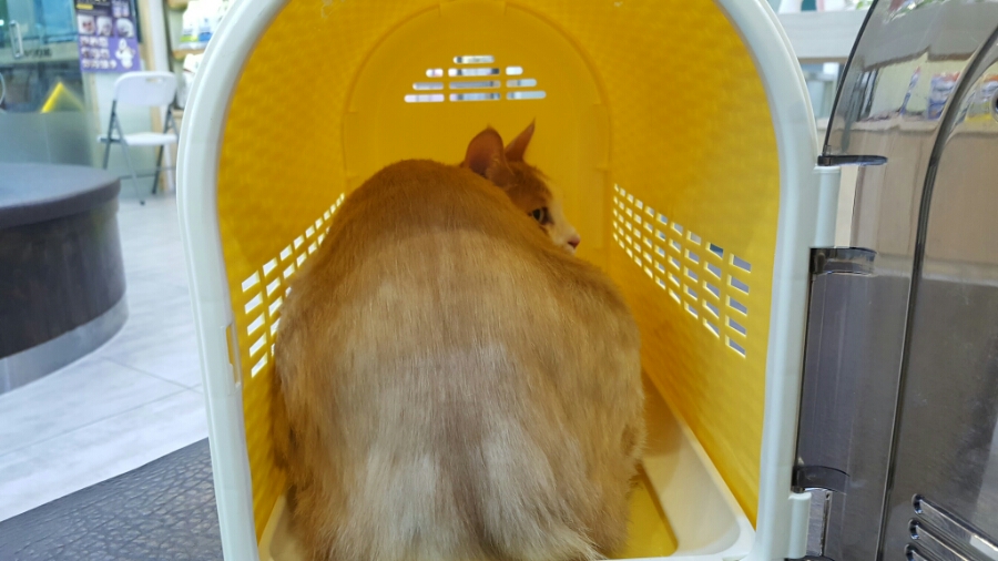 프라임24시 이미지