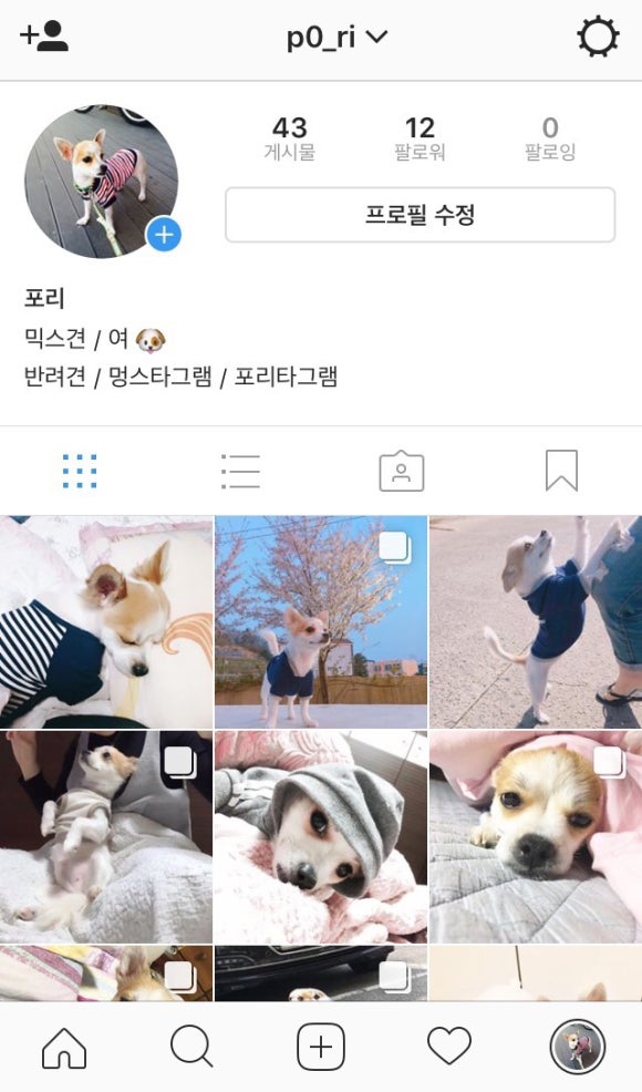포리타 이미지