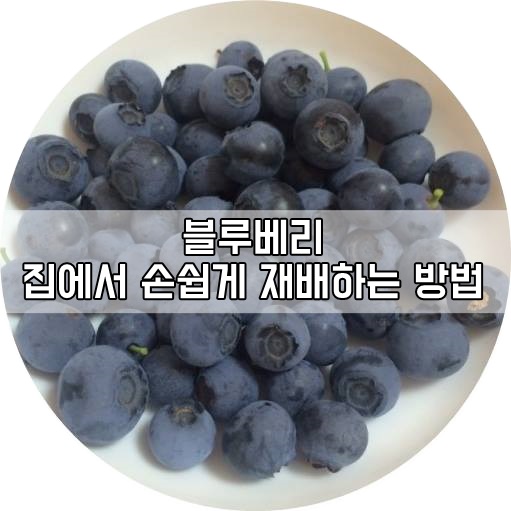 개명선물의집 이미지