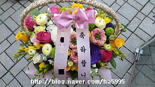 장미호프 이미지