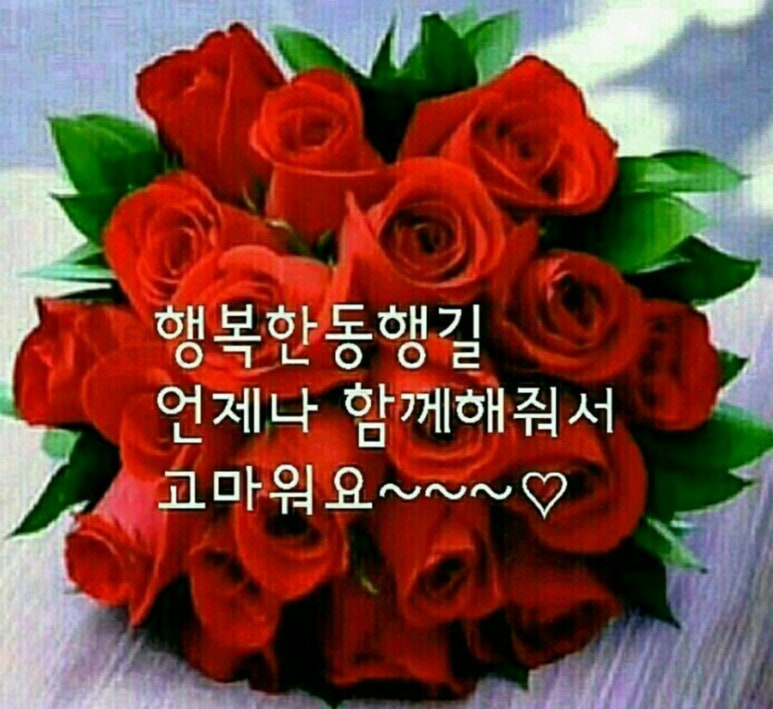 에이스 인력공사 이미지