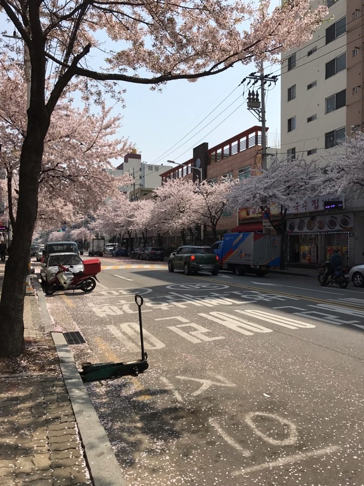 펜끗 이미지