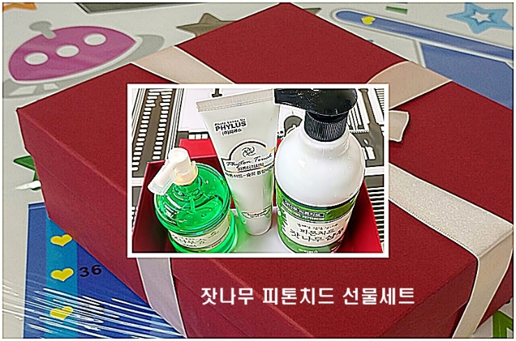 (주)피러스 이미지