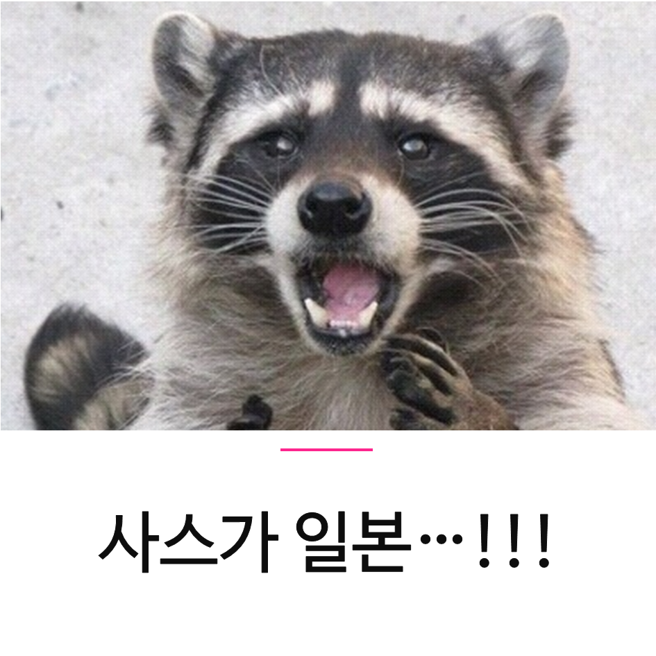 '로포리 프로젝트' 현 일본 대표 영화감독들이 포르노를?! : 네이버 블로그