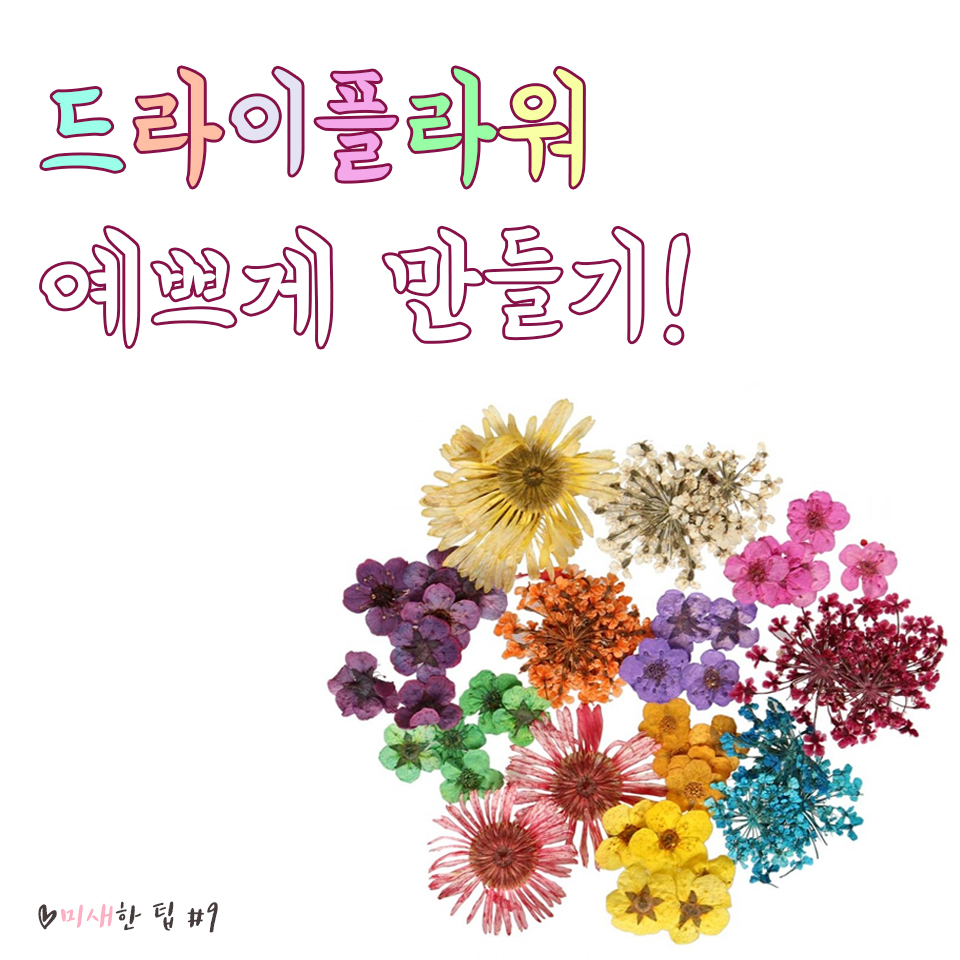 새한플라워 이미지