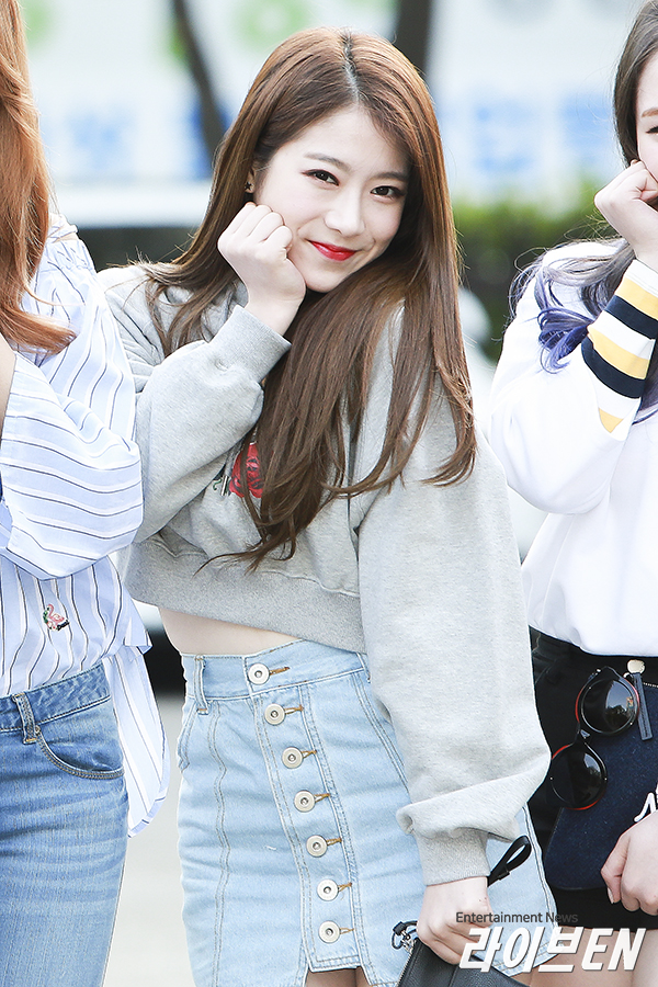 꽃레나 이미지