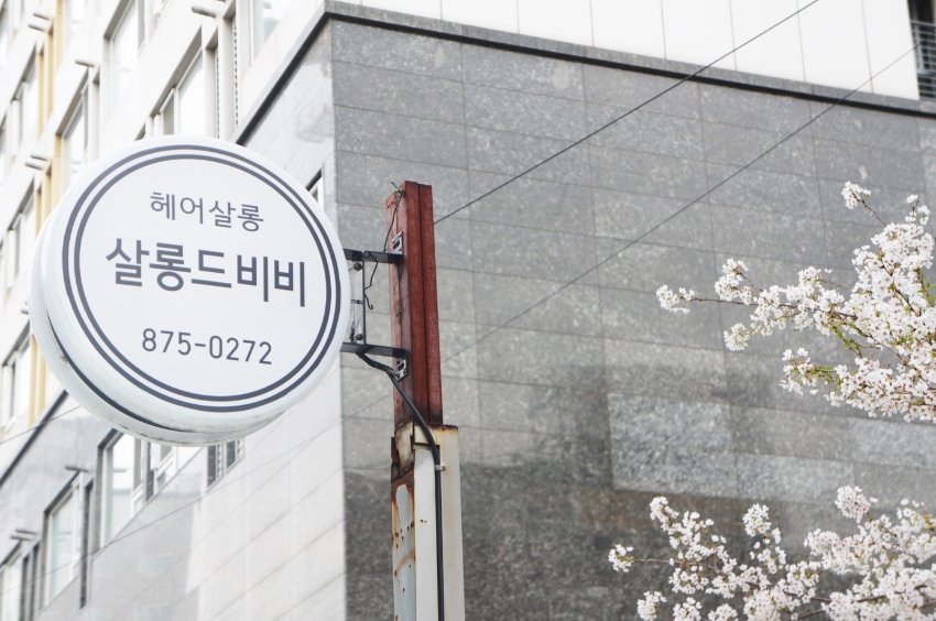 살롱드비비 이미지