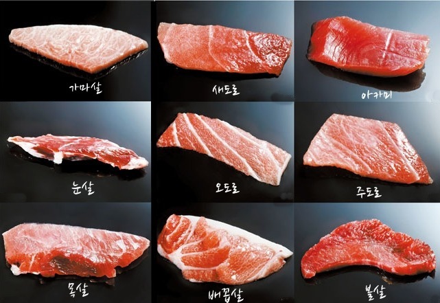 원참치 이미지