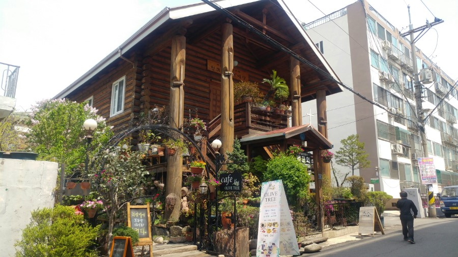 올리브트리카페 이미지