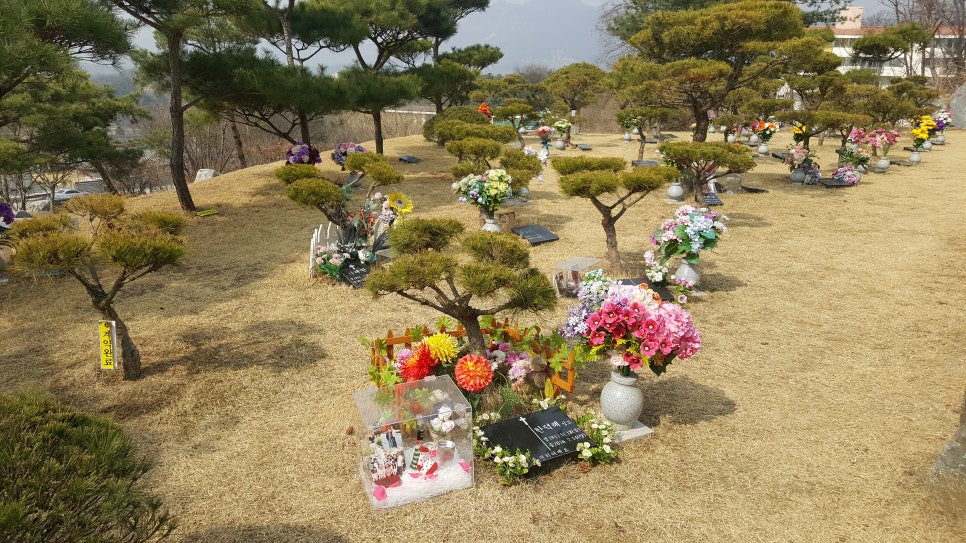 분당수목장 이미지