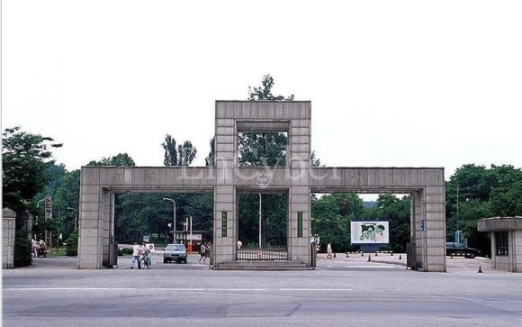 차군식당 이미지
