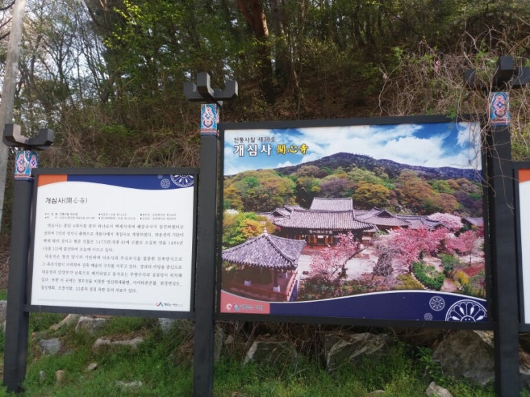 (주)아산레일바이크 이미지