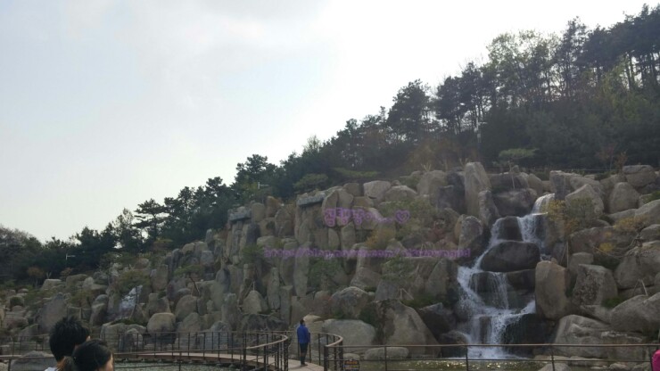 C카페 이미지