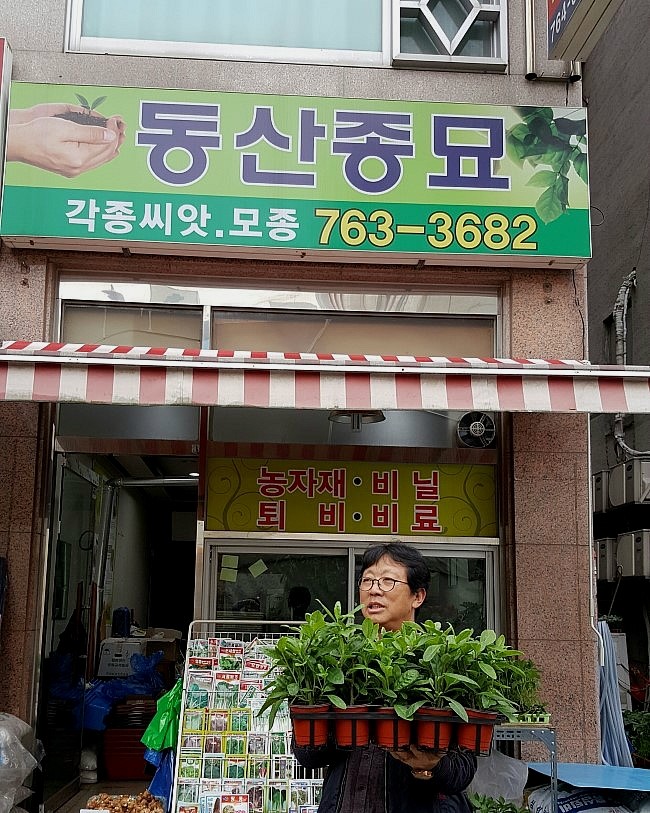 동산종묘 이미지