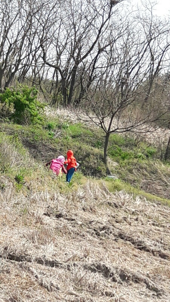 태준농원 이미지